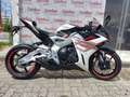Zontes Zontes 703 RR 2025 Bianco - thumbnail 6