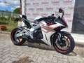 Zontes Zontes 703 RR 2025 Bianco - thumbnail 3