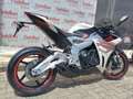 Zontes Zontes 703 RR 2025 Bianco - thumbnail 10