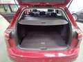 Volkswagen Golf Variant 2.0TDI 85kW Life DSG Rojo - thumbnail 14