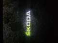 Skoda Karoq 2,0 TDI SCR 4x4 Style DSG Aut. Weiß - thumbnail 21