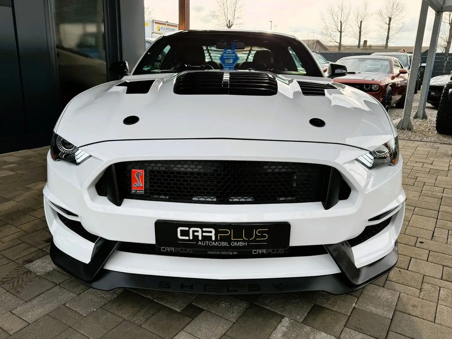Ford Mustang Shelby 350 GT Sport Coupe Performance Bílá - 2