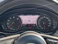 Audi A4 Av.40 TFSI quattro S line S-Tr.LED Navi Optik Grau - thumbnail 14