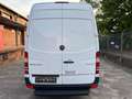 Mercedes-Benz Sprinter 313 CDi Kasten H+Lang Euro5 1.Hand+ Weiß - thumbnail 12
