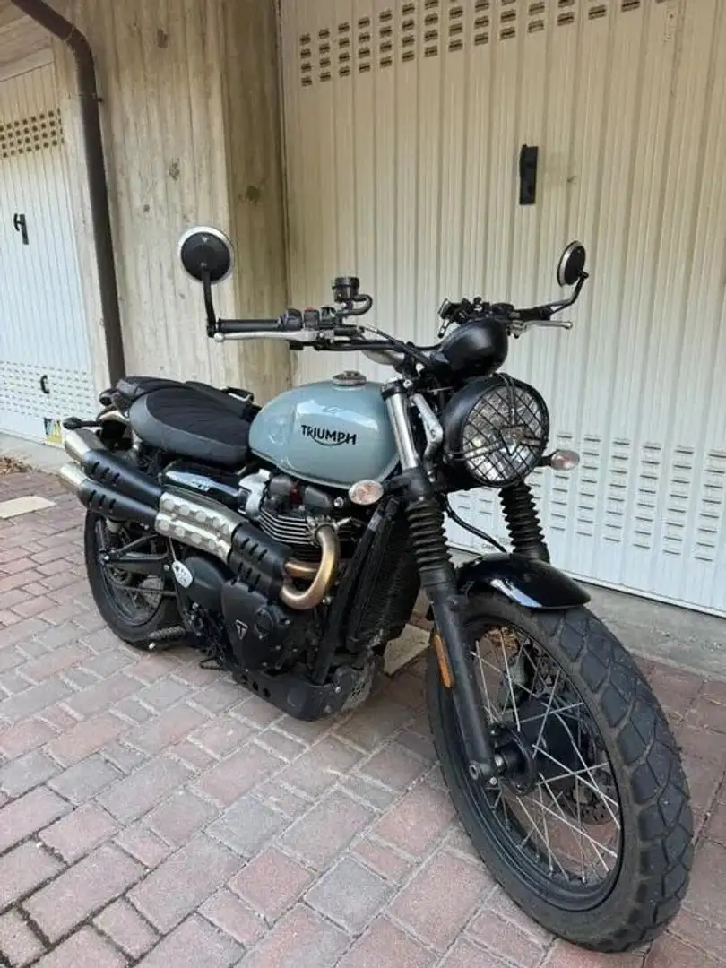 Triumph Street Scrambler 900 Gris - 1