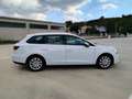 SEAT Leon Leon III 2013 ST ST 1.6 tdi cr Business High s Bianco - thumbnail 6