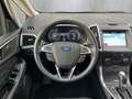 Ford S-Max Titanium AHK/ACC/PDC/DAB+/NAVI Czerwony - thumbnail 12