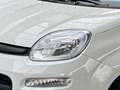 Fiat Panda Icon, Klimaanlage, Tempomat Blanc - thumbnail 5