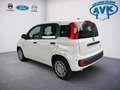 Fiat Panda Icon, Klimaanlage, Tempomat Blanc - thumbnail 4