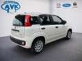 Fiat Panda Icon, Klimaanlage, Tempomat Blanc - thumbnail 3