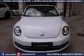 Volkswagen Maggiolino Cabrio 2.0 TDI DSG Karmann Edition Wit - thumbnail 20