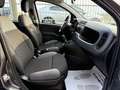 Fiat Panda 1.2 BENZINA 69CV GPL CASA MADRE*TAGLIANDO*GARANZIA Gris - thumbnail 14
