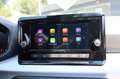 SEAT Ibiza Style 1.0 TSI *Sitzheizung *LED Blau - thumbnail 22