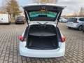Opel Insignia B ST AT OPC-Line/20Zoll/BoseSound/1Hand Wit - thumbnail 27