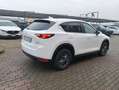 Mazda CX-5 CX-5 II 2017 2.0 Business 2wd 165cv my19 Weiß - thumbnail 14
