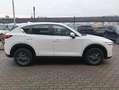 Mazda CX-5 CX-5 II 2017 2.0 Business 2wd 165cv my19 Weiß - thumbnail 5