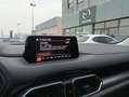 Mazda CX-5 CX-5 II 2017 2.0 Business 2wd 165cv my19 Weiß - thumbnail 6
