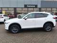 Mazda CX-5 CX-5 II 2017 2.0 Business 2wd 165cv my19 Weiß - thumbnail 2
