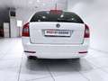 Skoda Octavia Octavia 1.4 TSI Station Wagon Ambition*BELLISSIMA* Wit - thumbnail 18