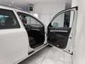 Skoda Octavia Octavia 1.4 TSI Station Wagon Ambition*BELLISSIMA* Wit - thumbnail 21