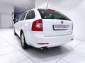 Skoda Octavia Octavia 1.4 TSI Station Wagon Ambition*BELLISSIMA* Wit - thumbnail 17