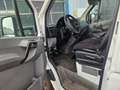 Mercedes-Benz Sprinter 313 CDI KOFFER Weiß - thumbnail 6
