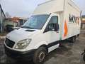 Mercedes-Benz Sprinter 313 CDI KOFFER Weiß - thumbnail 1