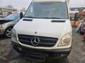Mercedes-Benz Sprinter 313 CDI KOFFER Weiß - thumbnail 2