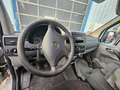 Mercedes-Benz Sprinter 313 CDI KOFFER Weiß - thumbnail 7
