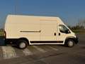 Fiat Ducato 35 2.3 MJT 130CV P.LungoT.Alto DucatoMaxi Weiß - thumbnail 6