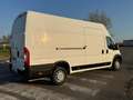 Fiat Ducato 35 2.3 MJT 130CV P.LungoT.Alto DucatoMaxi Weiß - thumbnail 5