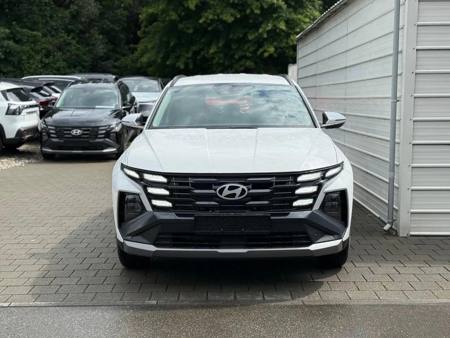 Hyundai TUCSON FL (MJ25) 1.6 T-GDI Navi*SHZ*Totwinkel*Kamera*K... Blanc - 2