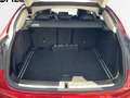 BMW X4 xDrive 30dA Rojo - thumbnail 19