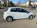 Fiat Punto Evo Punto Evo 5p 1.3 mjt Dynamic s Bianco - thumbnail 5