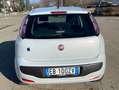Fiat Punto Evo Punto Evo 5p 1.3 mjt Dynamic s Bianco - thumbnail 3
