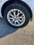 Fiat Punto Evo Punto Evo 5p 1.3 mjt Dynamic s Bianco - thumbnail 2