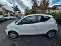 Lancia Ypsilon Ypsilon III dic 2017 1.3 mjt Silver s Bianco - thumbnail 7