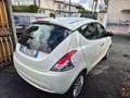 Lancia Ypsilon Ypsilon III dic 2017 1.3 mjt Silver s Bianco - thumbnail 4