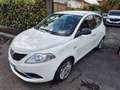 Lancia Ypsilon Ypsilon III dic 2017 1.3 mjt Silver s Bianco - thumbnail 1