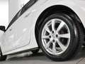 Opel Corsa F 1.2 Edition-Klima*PDC*SHZ*Bluetooth*DAB Weiß - thumbnail 5