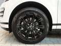 Land Rover Range Rover Evoque D165 Dynamic SE Weiß - thumbnail 9