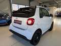 smart forTwo Cabrio Prime Sport Aut. -Top Ausstattung Weiß - thumbnail 7