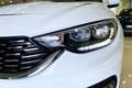Fiat Tipo Tipo 4p 1.6 mjt Easy 120cv my19 Bianco - thumbnail 6