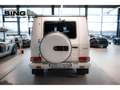 Mercedes-Benz G 63 AMG Edition 463 Designo Exklusiv Sitz-Komfo Alb - thumbnail 6
