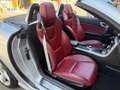 Mercedes-Benz SLK 200 BE Plateado - thumbnail 22
