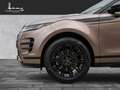 Land Rover Range Rover Evoque P250 Dynamic SE Braun - thumbnail 9