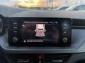 Skoda Kamiq 1.0cc 110cv Ambition + Radio APP - PREZZO REALE Grau - thumbnail 11
