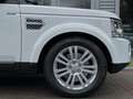 Land Rover Discovery *3.0-SDV6*HSE*EURO-6b*FULL-OP.*7-PLACES*MERIDIAN* Wit - thumbnail 15
