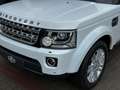 Land Rover Discovery *3.0-SDV6*HSE*EURO-6b*FULL-OP.*7-PLACES*MERIDIAN* Blanco - thumbnail 8