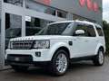 Land Rover Discovery *3.0-SDV6*HSE*EURO-6b*FULL-OP.*7-PLACES*MERIDIAN* Bianco - thumbnail 7